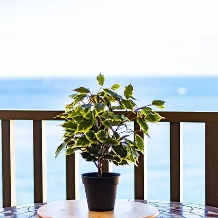 Almodo * باتالاباكا